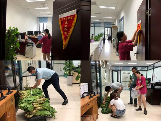 英国上市公司365